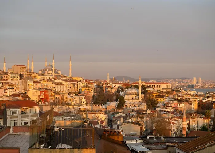 Swans Old Grand Bazar