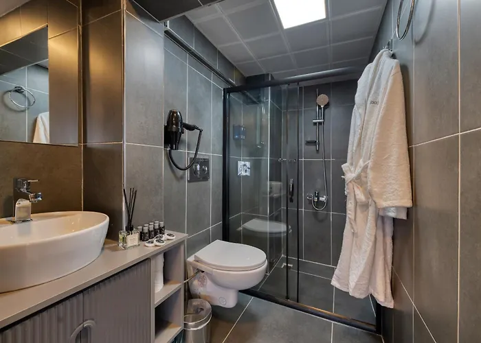 Swans Old Grand Bazar מלון