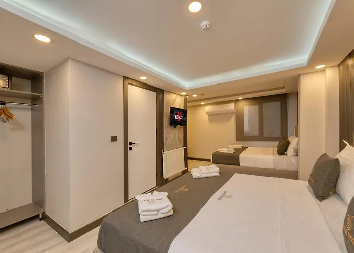 Swans Old Grand Bazar מלון